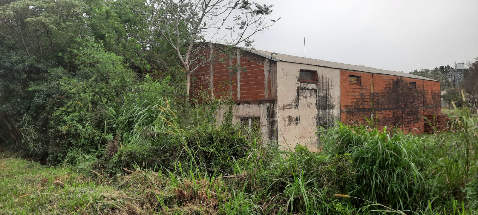 OPORTUNIDAD DE INVERSION – TERRENO C/ TINGLADO